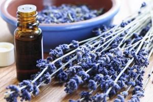 lavender-massage-oil