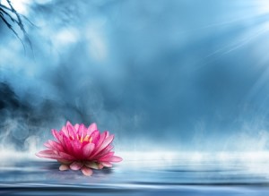lotus zen spiritual healing